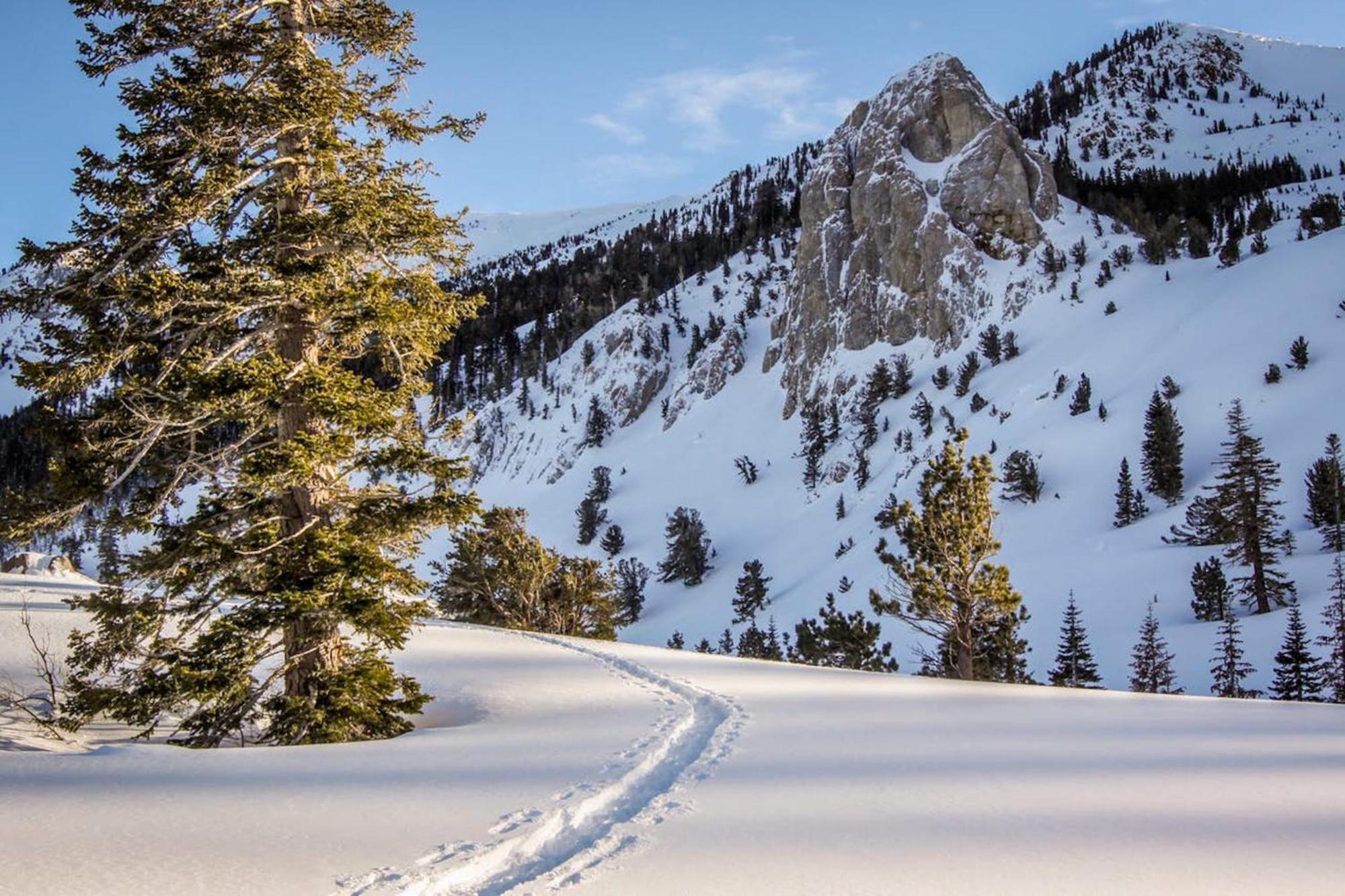 Crestview Villa Mammoth Lakes Cameră foto